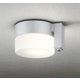 エクステリアライト 白熱灯器具60W相当 要電気工事 OG254987LCR
