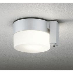 エクステリアライト 白熱灯器具60W相当 要電気工事 OG254987LCR