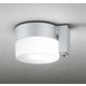 エクステリアライト 白熱灯器具60W相当 要電気工事 OG254987NCR