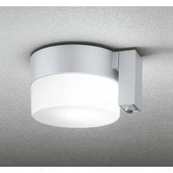 エクステリアライト 白熱灯器具60W相当 要電気工事 OG254987NCR
