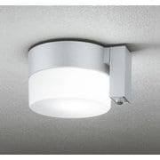エクステリアライト 白熱灯器具60W相当 要電気工事 OG254987NCR