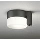 エクステリアライト 白熱灯器具60W相当 要電気工事 OG254988LCR
