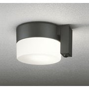 エクステリアライト 白熱灯器具60W相当 要電気工事 OG254988LCR