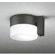 エクステリアライト 白熱灯器具60W相当 要電気工事 OG254988NCR