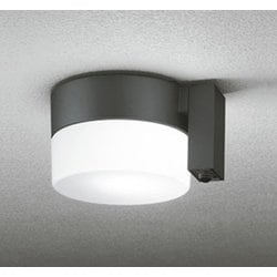 エクステリアライト 白熱灯器具60W相当 要電気工事 OG254988NCR