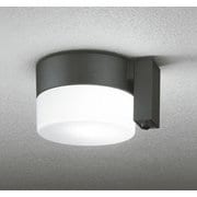 エクステリアライト 白熱灯器具60W相当 要電気工事 OG254988NCR