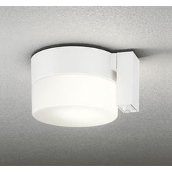 エクステリアライト 白熱灯器具60W相当 要電気工事 OG254989LCR