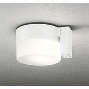 エクステリアライト 白熱灯器具60W相当 要電気工事 OG254989LCR