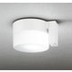 エクステリアライト 白熱灯器具60W相当 要電気工事 OG254989NCR