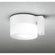 エクステリアライト 白熱灯器具60W相当 要電気工事 OG254989NCR