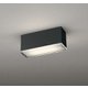 エクステリアライト 白熱灯器具40W相当 要電気工事 OG264099LR