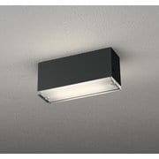 エクステリアライト 白熱灯器具40W相当 要電気工事 OG264099LR
