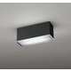 エクステリアライト 白熱灯器具40W相当 要電気工事 OG264099NR