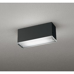 エクステリアライト 白熱灯器具40W相当 要電気工事 OG264099NR