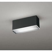 エクステリアライト 白熱灯器具40W相当 要電気工事 OG264099NR