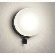 エクステリアライト 白熱灯器具60W相当 要電気工事 OG264108LCR