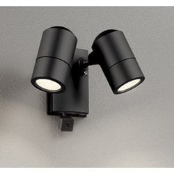 エクステリアライト JDR50W×2灯相当 要電気工事 OG264115