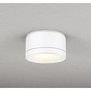 エクステリアライト 白熱灯器具100W相当 要電気工事 OG264142LCR