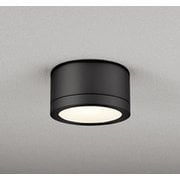 エクステリアライト 白熱灯器具100W相当 要電気工事 OG264143LCR