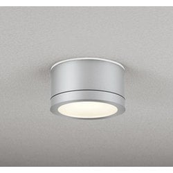 エクステリアライト 白熱灯器具100W相当 要電気工事 OG264144LCR