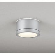 エクステリアライト 白熱灯器具100W相当 要電気工事 OG264144LCR