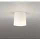 小型シーリングライト 白熱灯器具60W相当 要電気工事 OL013006BR