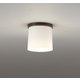 小型シーリングライト 白熱灯器具60W相当 要電気工事 OL013008BR