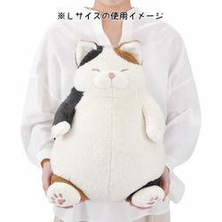 はねこ はせねこ on X: 