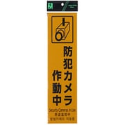 HBH301-1 [防犯カメラ作動中 Security Cameras～]