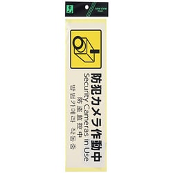 SBH294-1 [防犯カメラ作動中 Security Cameras～]