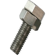 F412 [ステン六角ボルトN付 10×30mm]