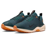 リアクトインフィニティラン 4 GORE-TEX FB2204 300 ディープジャングル/ジオードティール/トータルオレンジ/ブラック 29cm [ランニングシューズ メンズ]