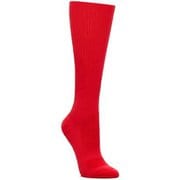 レースデイニーハイソック RACE DAY KNEE HIGH SOCK 1151231 (CRS)セリーズ Lサイズ(25-27cm) [ランニングウェア ソックス ユニセックス]