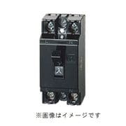 BS1113 [安全ブレーカHB型 2P1E 30A]