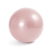 WBF055 [エクササイズボール 55cm]