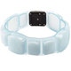 アイスG Cooru Ring 310mm ICGP-LB-310