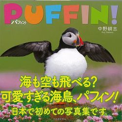 【バーゲンブック】パフィン！ [単行本]