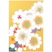 限定 ポストカード724 桜柄 金 88724006