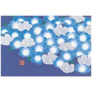 限定 ポストカード731 ネモフィラ柄 88731006