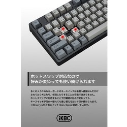 iKBC JIS配列 112キー 赤軸リニア IK-CD108-G/RD-BK ikbc iKBC CD108 RGBシリーズ JIS配列 112キー メカニカル