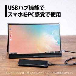 ヨドバシ.com - プリンストン PRINCETON モバイルディスプレイ