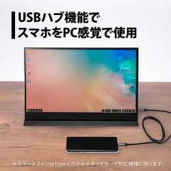 プリンストン　15.6型フルHDタッチ機能付きモバイルディスプレイ PRINCETON プリンストン 15.6インチ モバイルディスプレイ