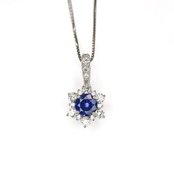 PT900サファイヤネックレス チェーン45cmチェーン：PT850 014287470
