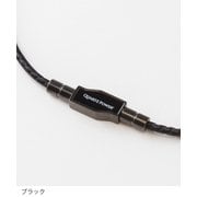 10BF1006 [ネックレス バランスフォース Plate ブラック L]