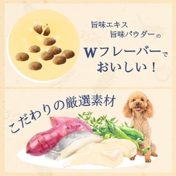 ヨドバシ.com - ファーストチョイス 1st CHOICE ChoiceS