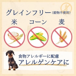 ファーストチョイス　アレルゲンケア成犬用ドライフード 18kg ファーストチョイス ChoiceS アレルゲンケア成犬用 フィッシュ