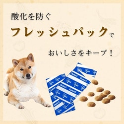 ファーストチョイス ChoiceS アレルゲンケアに 成犬1歳以上600g×12 ファーストチョイス ChoiceS アレルゲンケアに 成犬1歳以上