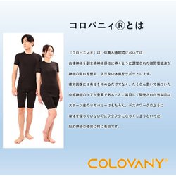 ヨドバシ.com - コロバニィ 10616S [コロバニィ コットン Tシャツ 1枚