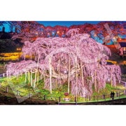 09-058s 日本風景 三春の滝桜 - 福島 [ジグソーパズル 1000ピース]