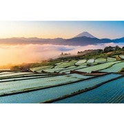 1000-914 日本風景 朝焼けの富士と棚田 [ジグソーパズル 1000ピース]